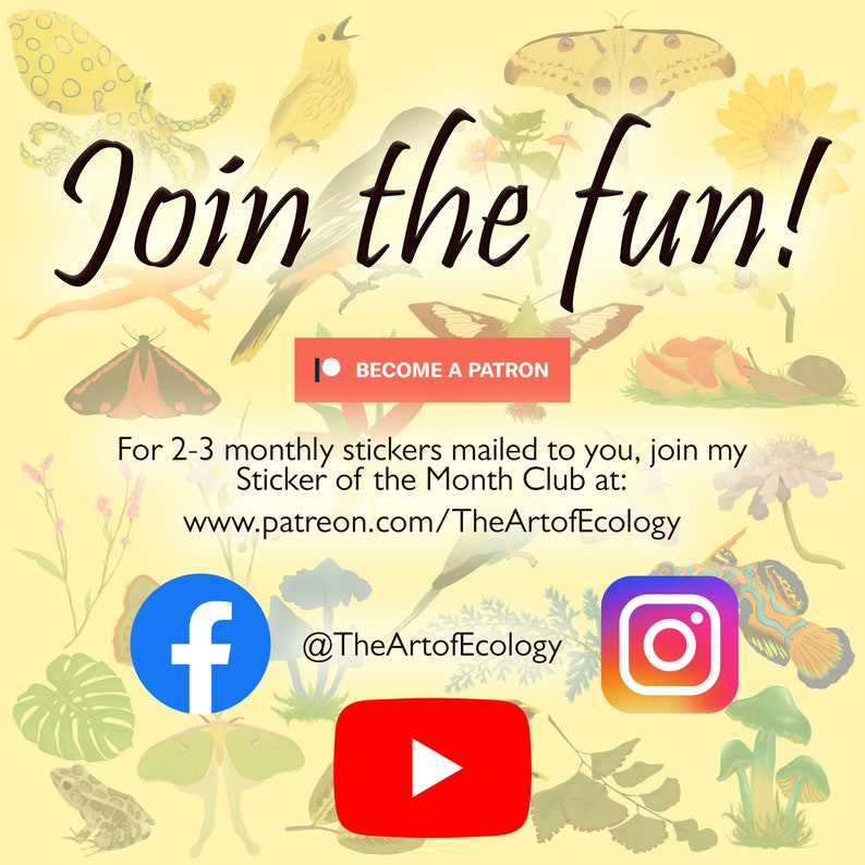 May include: A colorful illustration with the text "Join the fun!" and a call to action to become a patron. The image features a variety of nature-themed illustrations, including butterflies, flowers, and a frog. Social media icons for Facebook, Instagram, and YouTube are also included.
