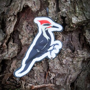 May include: A black and white sticker of a woodpecker with a red head on a tree trunk.