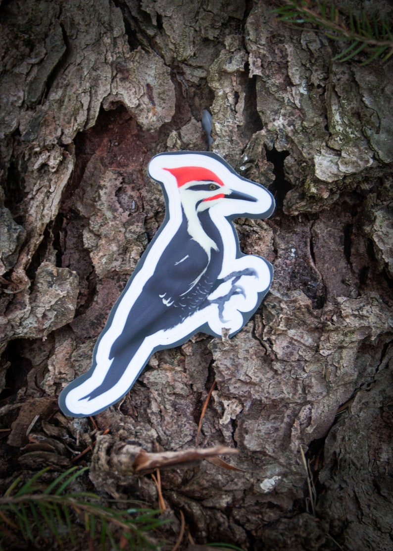 May include: A black and white sticker of a woodpecker with a red head on a tree trunk.