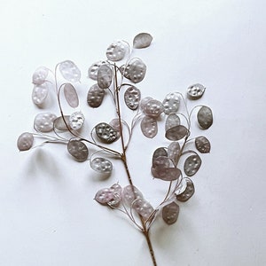 Artificial Annual honesty branch Honesties greenery sprig Bouquet filler Faux flowers Pearl shell pink flower Pearl honesty twig silver