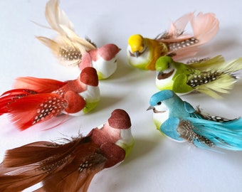 Oiseaux de paradis artificiels avec boutons, couronne de fleurs, tropical, jungle, petits oiseaux minuscules, petits oiseaux, décors, oiseaux réalistes, oiseau coloré