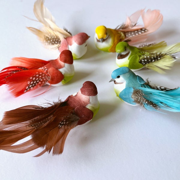 Artificial paradise birds with knobs, flower crown, tropical, jungle, little tiny birds, small birds, decors, realistic birds, colorful bird