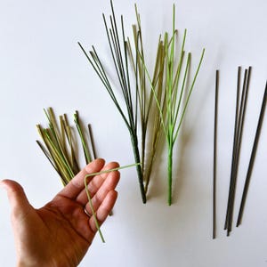 Könnte beinhalten: Eine Sammlung dünner, flexibler grüner und brauner Stiele, teils zu fächerartigen Formen gebündelt, teils als einzelne gerade Stäbe. Ein gebogener grüner Stiel wird im Vordergrund gehalten und zeigt die Biegsamkeit dieser Bastelartikel.
