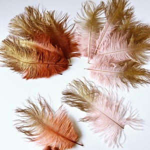Könnte beinhalten: Eine Sammlung von Straußenfedern mit einem Farbverlauf. Die Federn gehen von einem metallischen Gold an den Spitzen zu sanften Tönen von zartem Rosa, Pfirsich und tiefem Terrakotta-Orange an der Basis über, mit feinen, federartigen Strukturen.