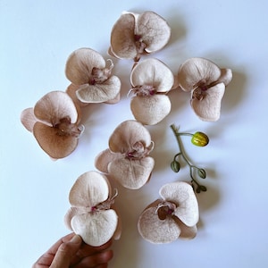 Orchid Flower heads Artificial orchid flowers Soft touch Faux flowers phanelopsis heads wedding flowers millinery decor mason jar diy orchid