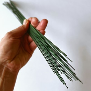 Op de afbeelding: Een hand die een bundel groene bloemdraad vasthoudt. De draden zijn dun en recht. De achtergrond is effen wit.
