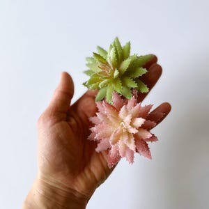 Frostad konstgjord suckulent i två färger, terrariumdekor (7 cm i diameter) Små suckulenter
