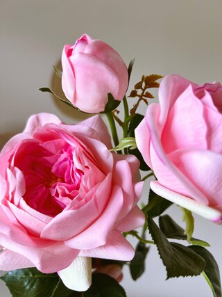 N&T NIETING Fiori Artificiali, 50 Pezzi, Fiori Finti, Con Gambo, Per Matrimoni, Bouquet Fai Da Te, Centrotavola, Doccia, Casa, Decorazione (verde Militare