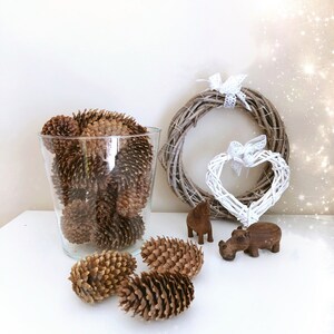20 Natural Big Pine Cones: Rustic Holiday Decor DIY Supplies