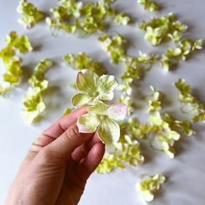 Hellgrüne Seiden Hortensien Blumen: Mini Blumen Bastelbedarf