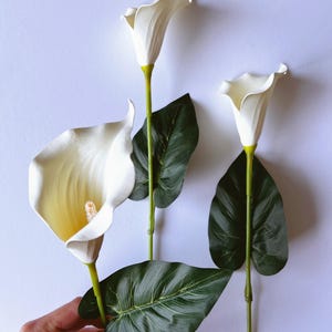 Margaritas Artificiales Tallos De Lirio De Cala Lirios De Cala