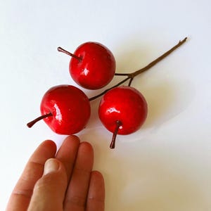 Op de afbeelding: Een decoratieve tak met drie glanzende, felrode bolvormige vruchten met kleine bruine steeltjes. De vruchten hebben een glad, reflecterend oppervlak en zijn gerangschikt langs een dunne, bruine, houtachtige tak die naar rechts uitsteekt.
