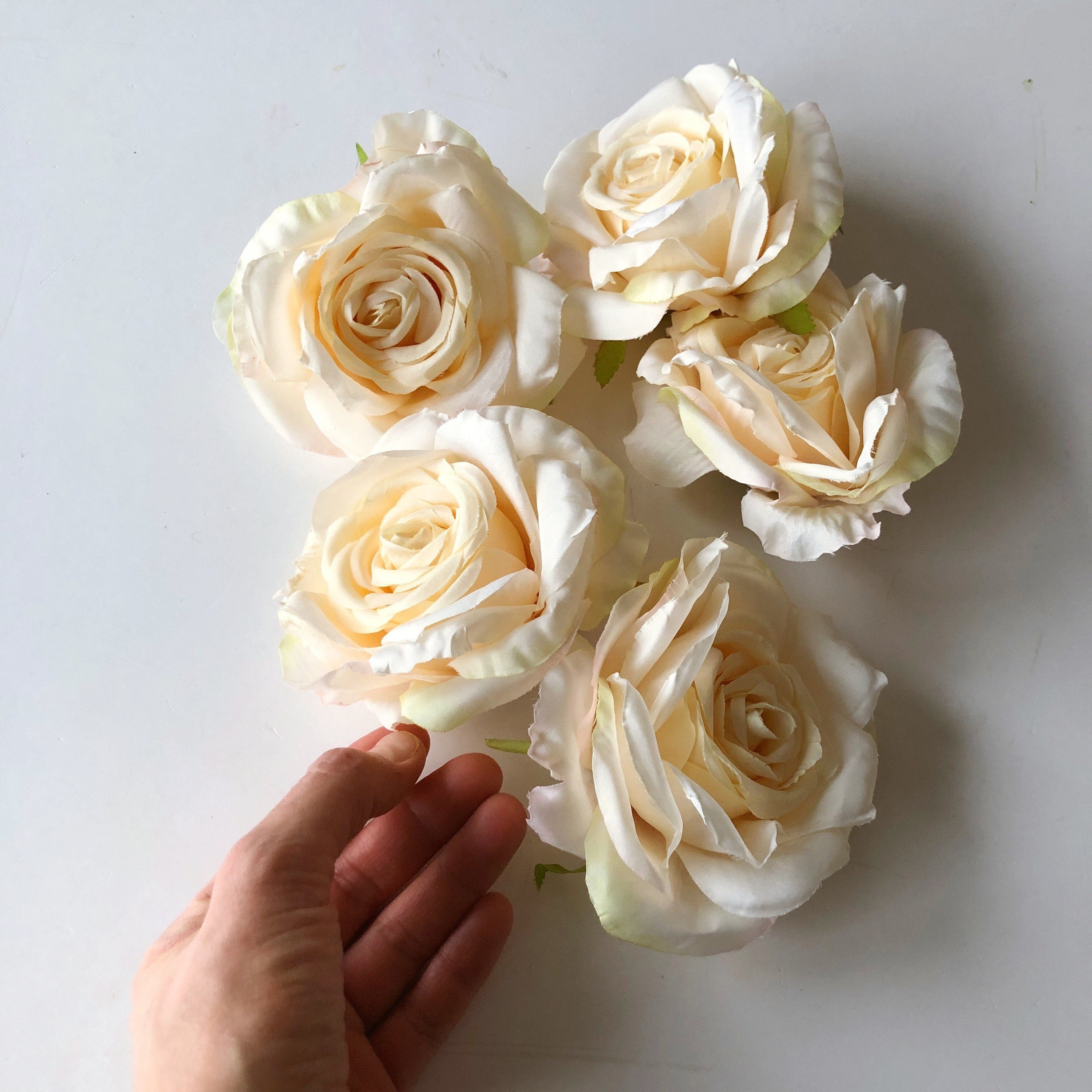5 Pieces Cream Rose Heads Artificial Roses Silk Roses 9 Cm Etsy