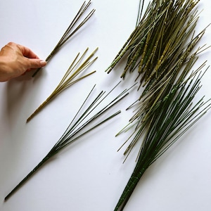 May include: A collection of artificial pine needle stems in varying shades of green. The stems feature segmented, textured bases that branch out into thin, needle-like foliage. The set includes several individual stems and a larger bundle.