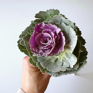 Artificial Cabbage Flower: Purple & Green Faux Floral Stem