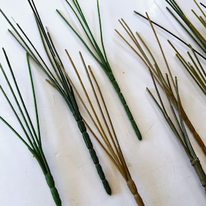 May include: A collection of artificial plant stems featuring thin, needle-like foliage. The stems are segmented and colored in various shades of dark green and brownish-tan, mimicking the appearance of natural horsetail or reed-like vegetation.