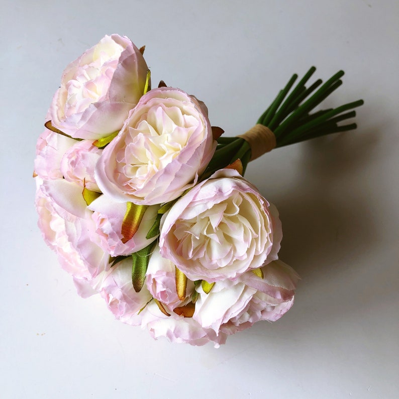 flores spress flores spress