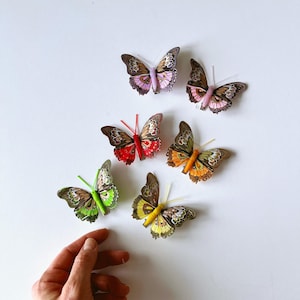 May include: Six decorative paper butterflies in various colours, including brown, pink, red, orange, green, and yellow. Each butterfly has detailed wing patterns and a differently coloured body and antennae.