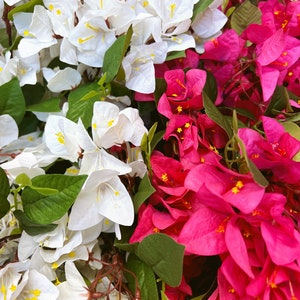 Buganvilla de seda artificial, Tallo de flor de papel artificial, Flores falsas, Buganvilla glabra menor, Flores de boda coloridas, 78 cm imagen 6