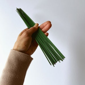 Könnte beinhalten: Ein Bündel grüner Blumendraht in einer Hand. Die Drähte sind dünn und gerade, mit einer einheitlichen grünen Farbe. Der Hintergrund ist schlicht weiß und hebt das Drahtbündel hervor.