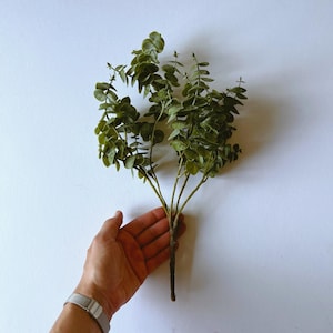Bouquet di eucalipto artificiale Piccolo riempitivo Decorazione ghirlanda Corona floreale verde Decorazione primaverile Verde artificiale Rami di eucalipto verde