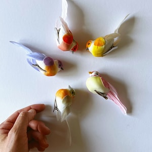 May include: Five colorful felt bird ornaments with white wings and wire legs. The birds are in various poses and have different colored bodies, including yellow, orange, pink, purple, and blue.