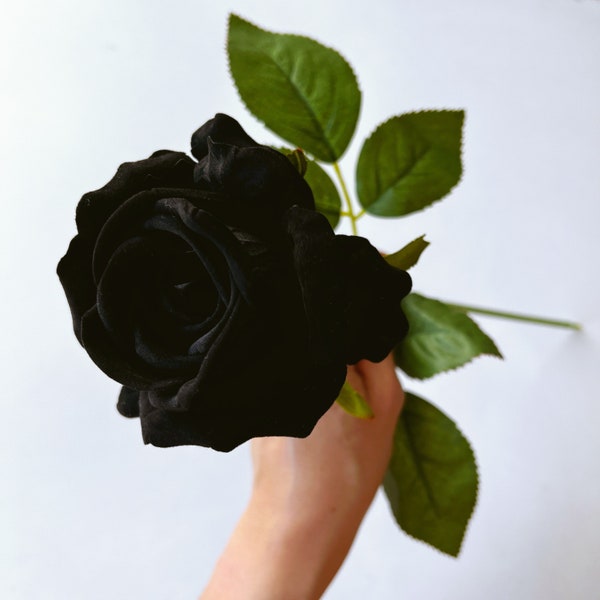Black Velvet Roses Etsy