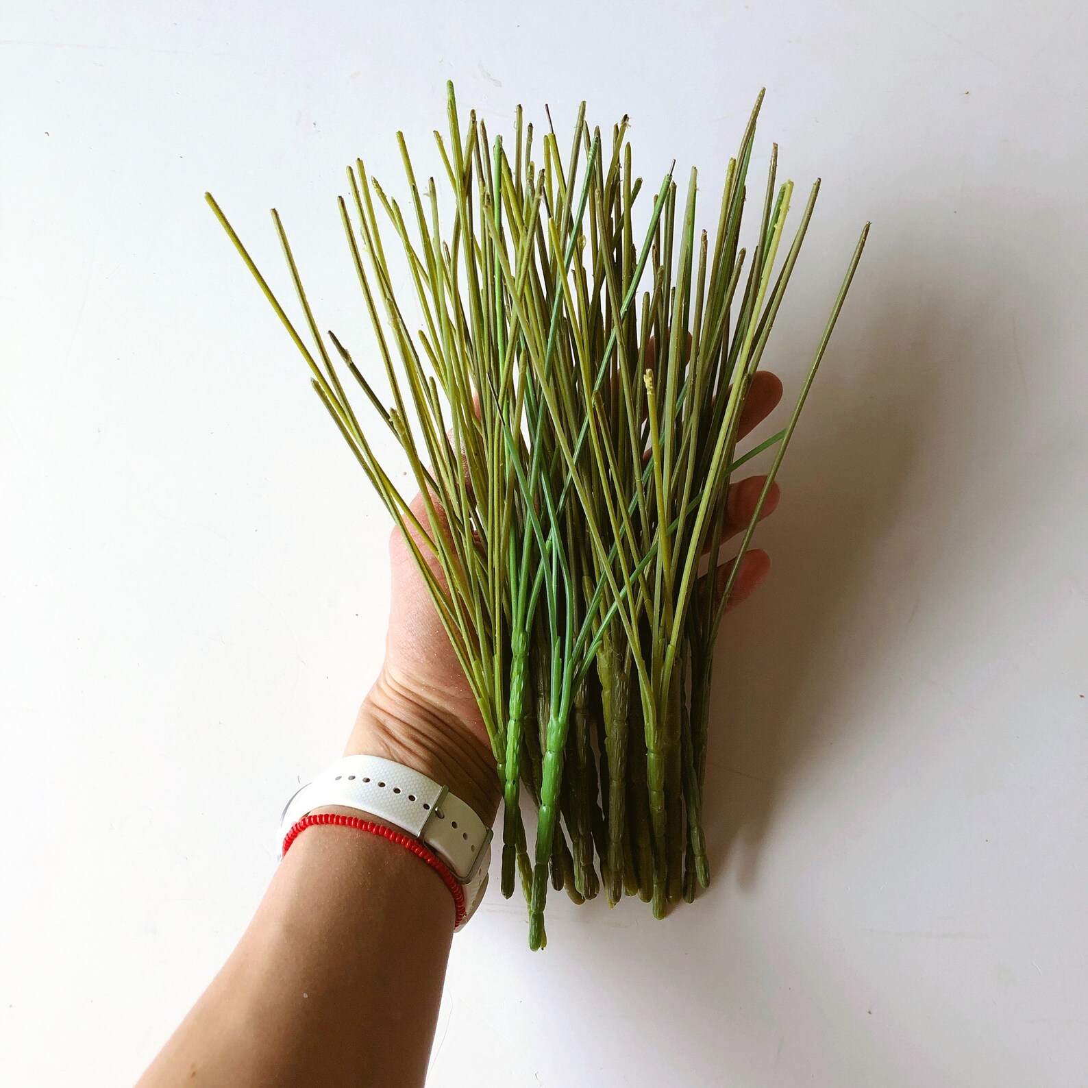 24 bouquet wire stems wire for flowers Craft Wire Flower Etsy