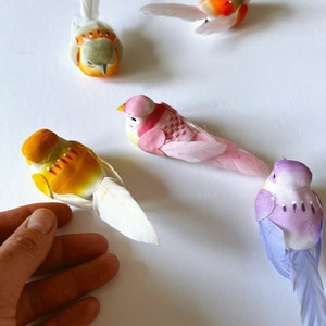 Op de afbeelding: Vier kleine decoratieve vogelbeeldjes met zachte, ronde lichamen en lange, dunne witte veren als staarten. De vogels zijn gekleurd in tinten oranje, geel, roze en paars, elk met kleine geschilderde details op hun vleugels en rug.