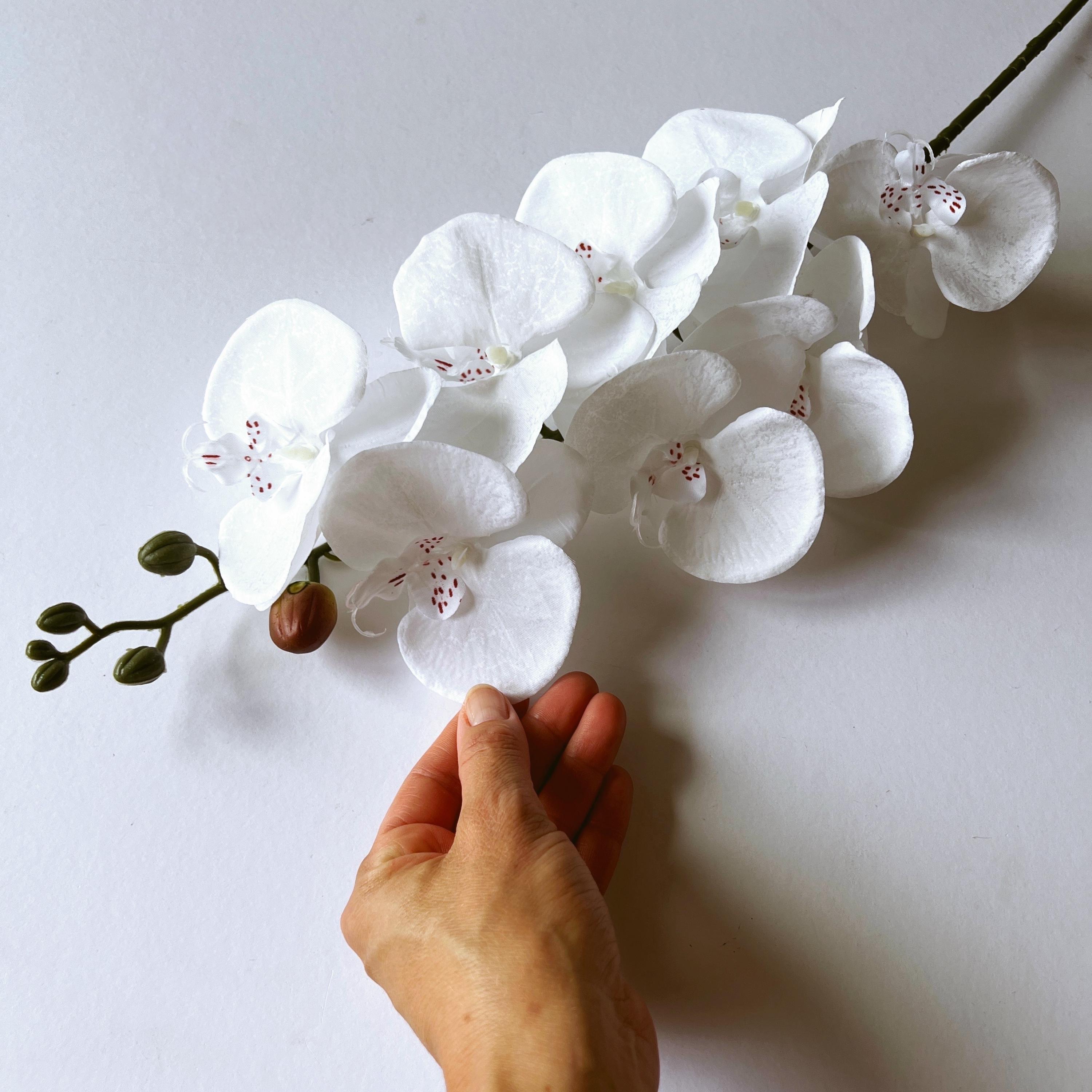 White Silk Orchid Stem: Artificial Phanelopsis Flower Wedding Decor 90 Cm,  36 In - Etsy, image size:3000x3000