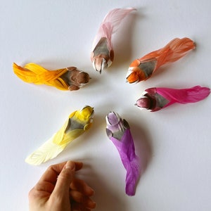 Paradiesvogel mit Knopf Blume Blumenkrone Dekor Käfig Vogel realistisch realistisch bunter Vogel Hut Accessoire Tortendeko