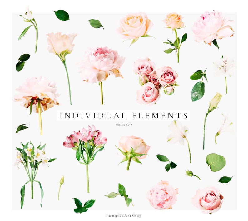 Green Leaves PNG Greenery Flower PNG 054 Wedding Clipart Pink Rose Creme Peony Flower Clipart Digital flowers Floral Illustrations