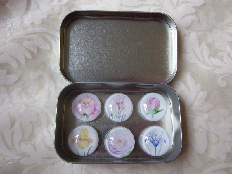 Cabochon Magnete mit Rose Iris Blumen Pastell 6er Set Iris Geschenkidee Küchenmagnete Kühlschrankmagnete Geburtstagsgeschenk Mitbringsel Bild 3