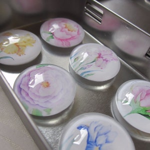 Cabochon Magnete mit Rose Iris Blumen Pastell 6er Set Iris Geschenkidee Küchenmagnete Kühlschrankmagnete Geburtstagsgeschenk Mitbringsel Bild 2