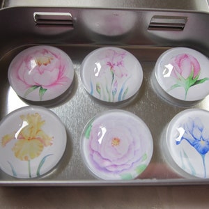 Cabochon Magnete mit Rose Iris Blumen Pastell 6er Set Iris Geschenkidee Küchenmagnete Kühlschrankmagnete Geburtstagsgeschenk Mitbringsel Bild 1