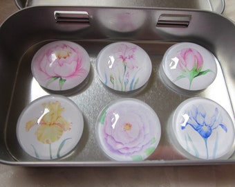 Cabochon Magnete mit Rose Iris Blumen Pastell 6er Set "Iris" Geschenkidee Küchenmagnete Kühlschrankmagnete Geburtstagsgeschenk Mitbringsel
