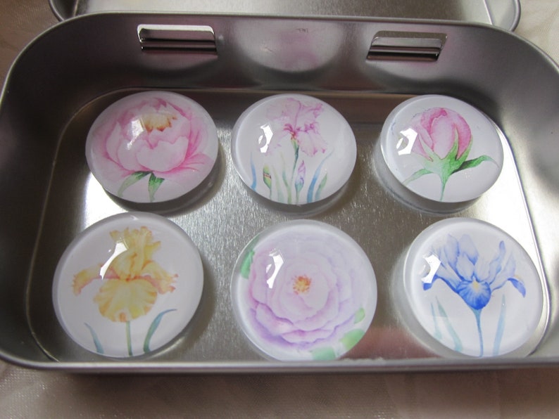 Cabochon Magnete mit Rose Iris Blumen Pastell 6er Set Iris Geschenkidee Küchenmagnete Kühlschrankmagnete Geburtstagsgeschenk Mitbringsel Bild 1