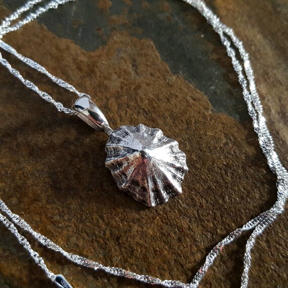 Limpet shell deals necklace