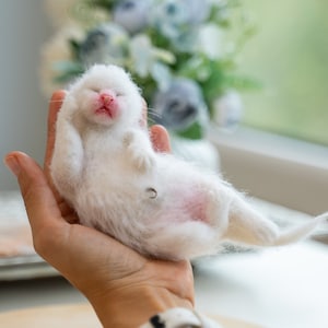 Needle Felted Cat, Felted Cat, Newborn Kitty, Collectible, OOAK, Newborn Cat, Baby Cat, Wool Sculpture, Realistic Cat