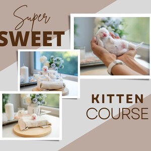 Felted Kitten COURSE, Needle Felted Kitten Tutorial, Video Course, How to Needle Felt a Complete Kitten image 2