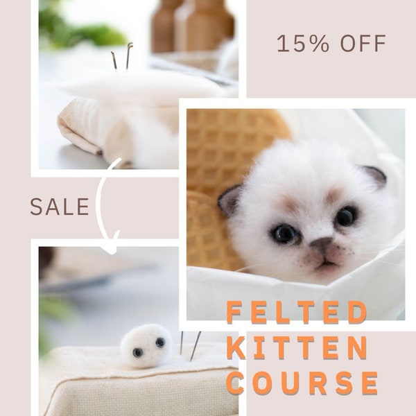 Needle Felting Kitten Head COURSE, Felted Cat Tutorial, Video Course, How to Needle Felt a Cat Head Tutorial, Wool Sculpture Tutorial,