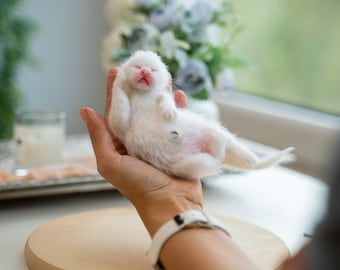 Curso en vídeo de gatitos de fieltro con aguja: Tutorial para gatitos recién nacidos
