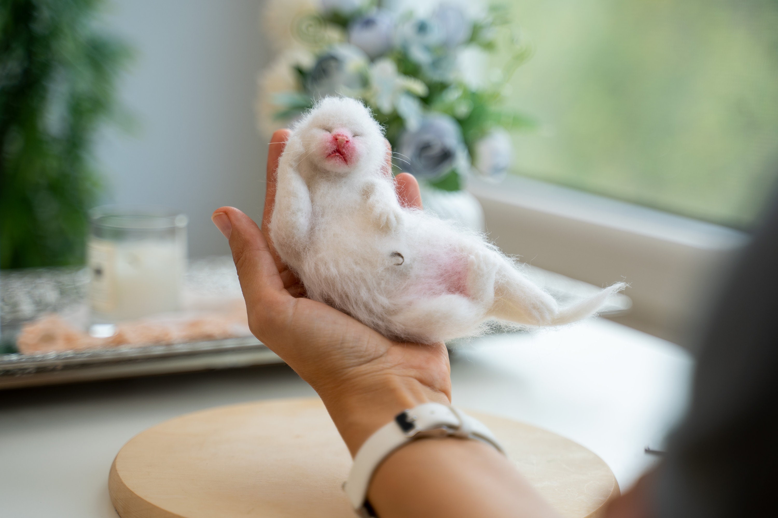 Reborn cat - Etsy 日本