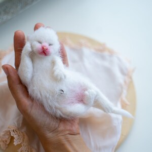 Felted Kitten COURSE, Needle Felted Kitten Tutorial, Video Course, How to Needle Felt a Complete Kitten image 5
