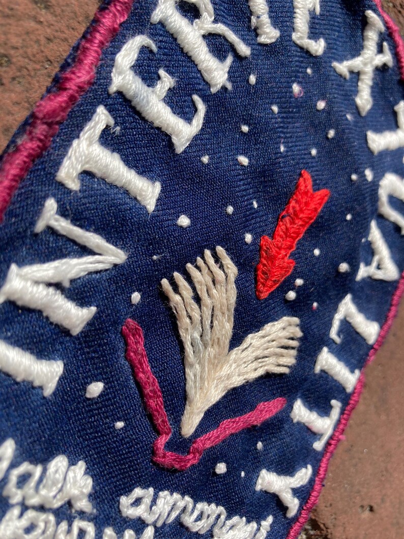 Pu&ograve; includere: Toppa ricamata con sfondo blu navy, testo bianco e bordo rosa. La toppa presenta testo ricamato bianco, una freccia rossa e un disegno ricamato bianco. Il testo include le parole "TER" e "ITALY".