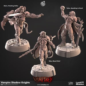 32mm, 28mm, Vampires!,Shadow Knights, CastnPlay miniatures , Role Playing Games Miniature, WoW, Dungeon and Dragons, RPG, DnD.