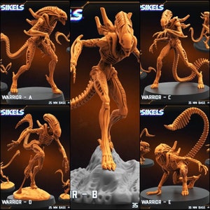 May include: Five different poses of a detailed, orange-brown colored, plastic miniature of an alien creature from the Alien franchise. The miniature is standing on a gray base. The text "WARRIOR - A", "WARRIOR - C", "WARRIOR - D", "WARRIOR - E", and "IR - B" are visible on the bases.