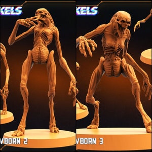 May include: Two brown, skeletal figures, labelled "VBORN 2" and "VBORN 3", stand on round platforms. The figures have elongated limbs, rib cages, and skull-like heads. The background is dark with a logo in the top corners.