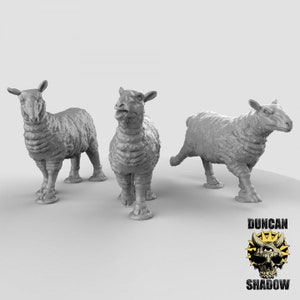 Sheep by Duncan Shadow MiniaturesDnd, Dungeon and Dragon Mini, Tabletop Miniature, Miniature, Fantasy Miniatures, Dnd Mini&#39;s