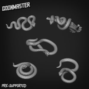 Snake Familiar, by Goons Dnd, Dungeon and Dragon Mini, Tabletop Miniature, Miniature, Fantasy Miniatures,